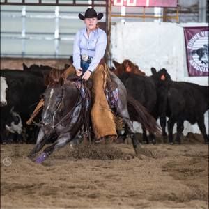 Meet your Posher, Samantha